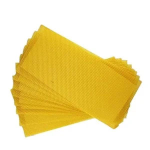 Comb foundation sheet / Sheet